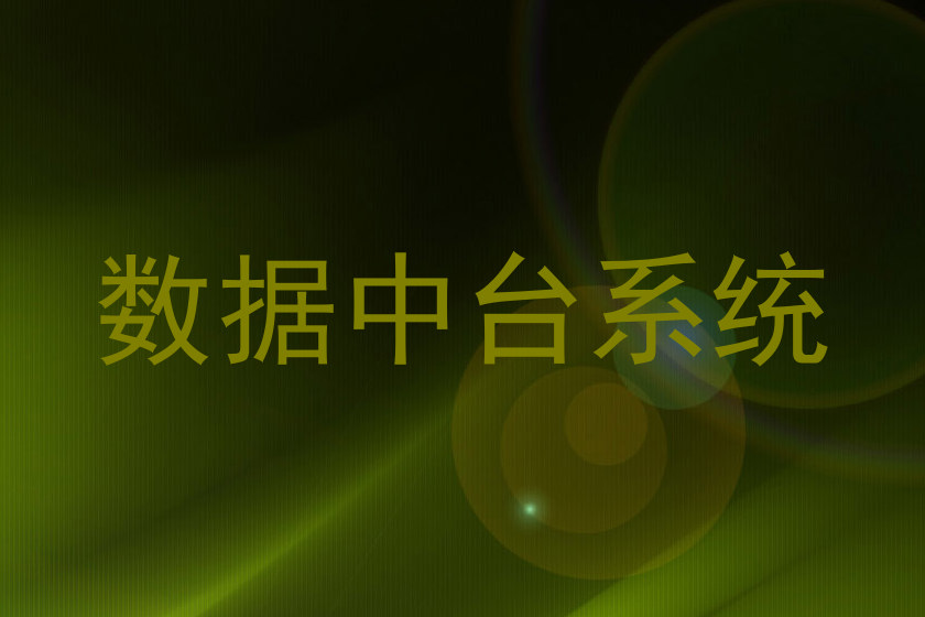 数据中台系统