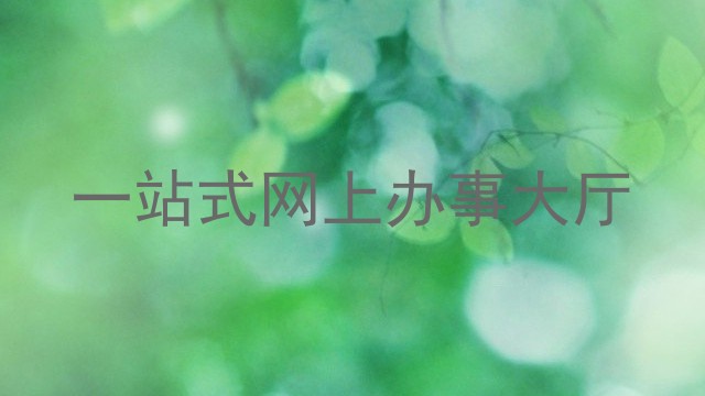 一站式网上办事大厅
