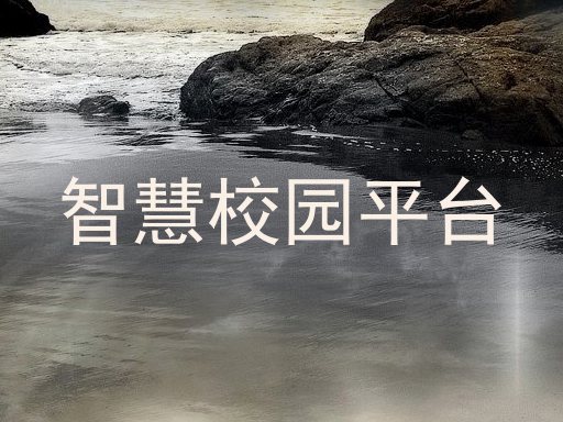 智慧校园平台
