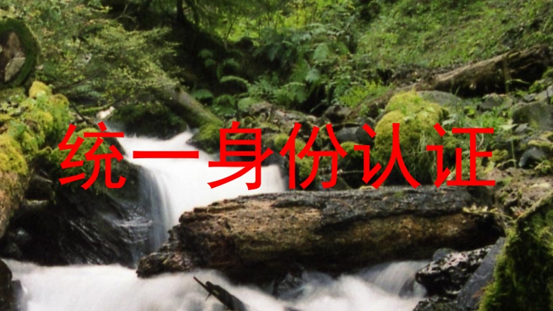 统一身份认证