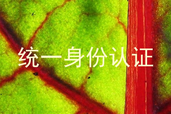 统一身份认证