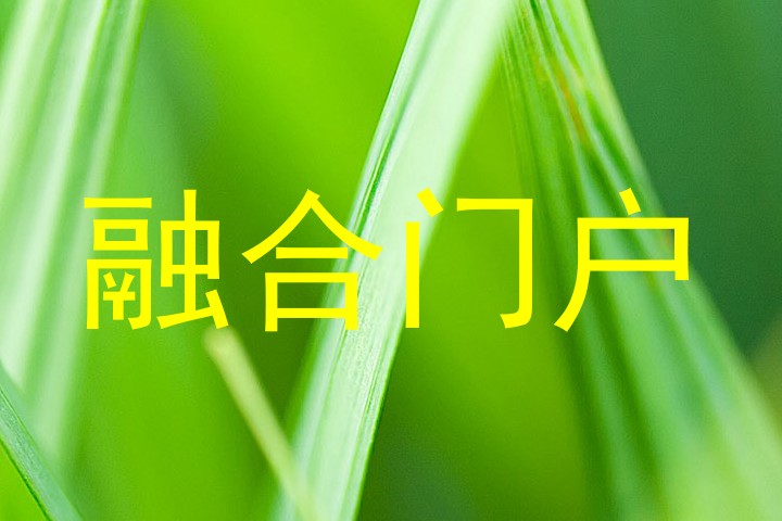 融合门户