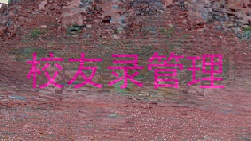 校友录管理