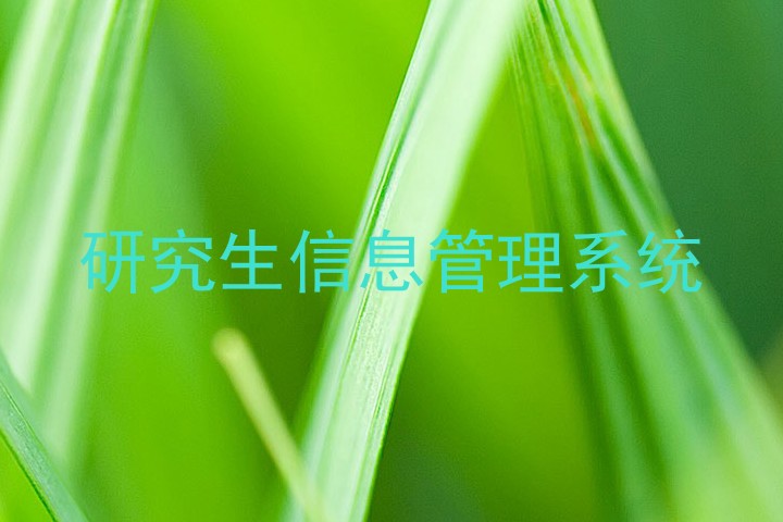 研究生信息管理系统