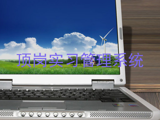 顶岗实习管理系统