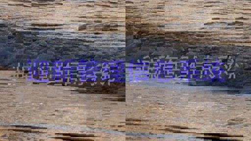 迎新管理信息系统