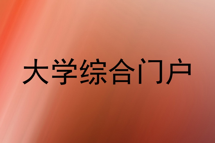 大学综合门户