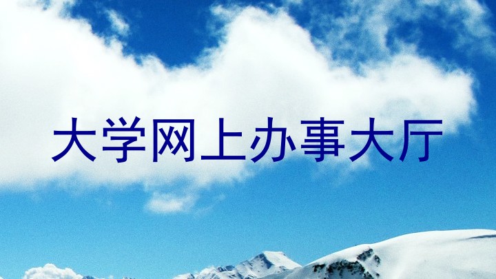 大学网上办事大厅