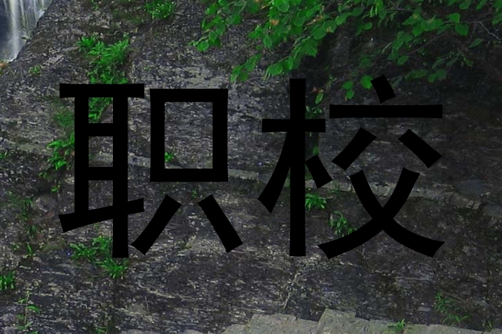 职校