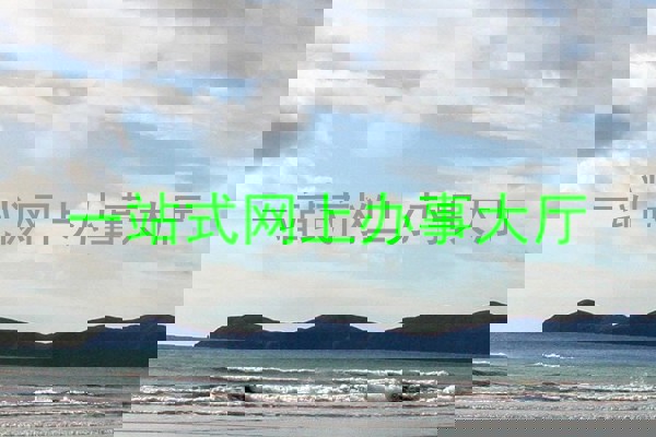 一站式网上办事大厅