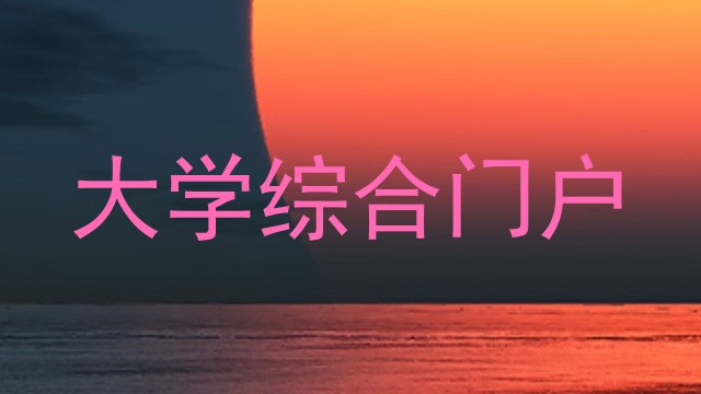 大学综合门户