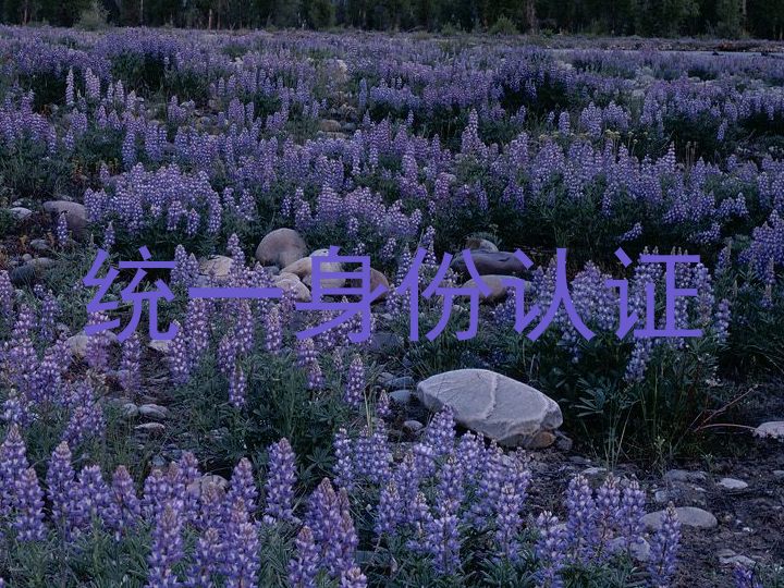 统一身份认证