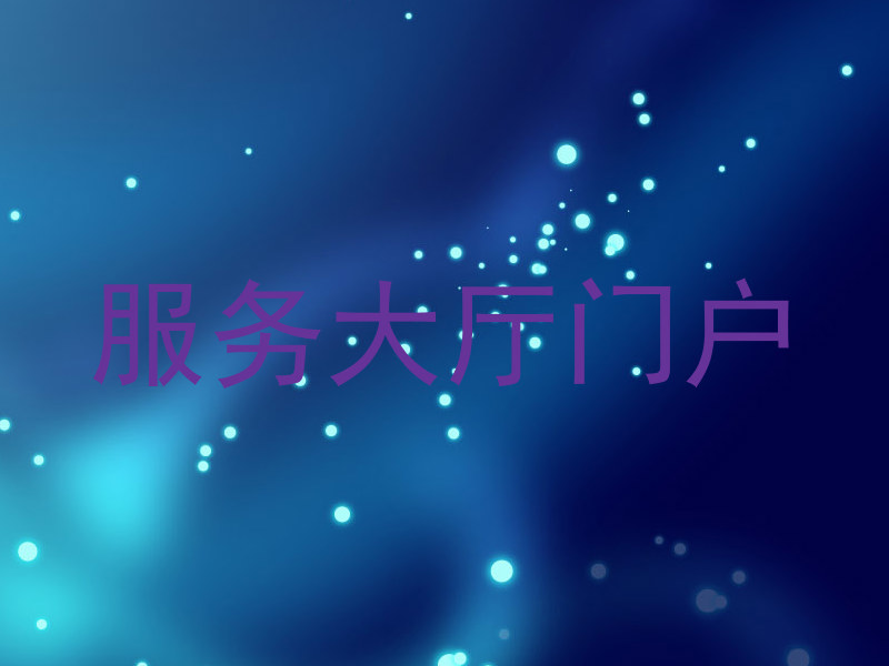 服务大厅门户
