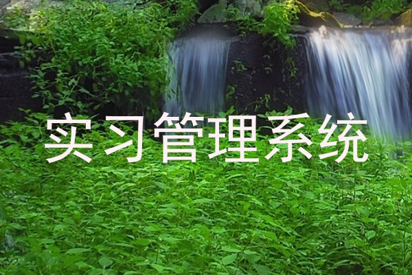 实习管理系统