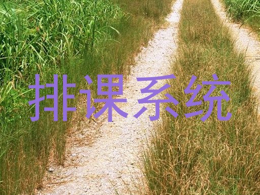 排课系统