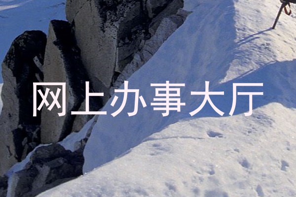 网上办事大厅