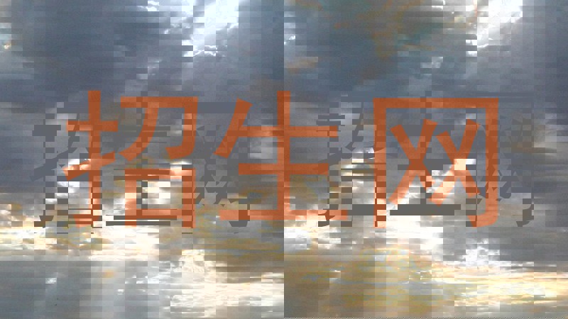 招生网