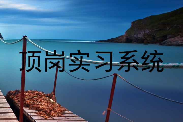 顶岗实习系统