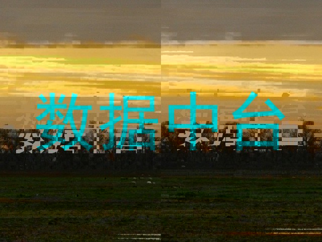 数据中台