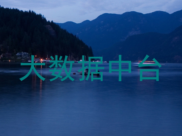 大数据中台