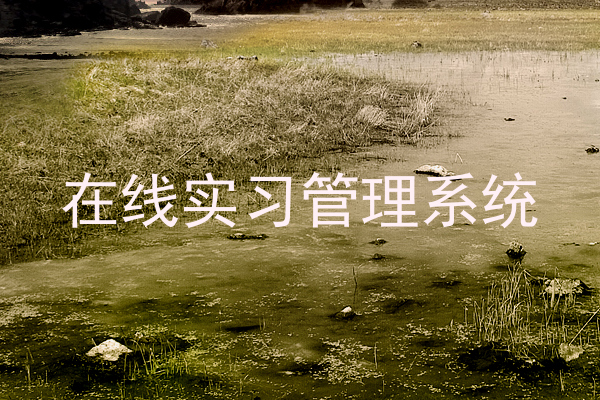 在线实习管理系统