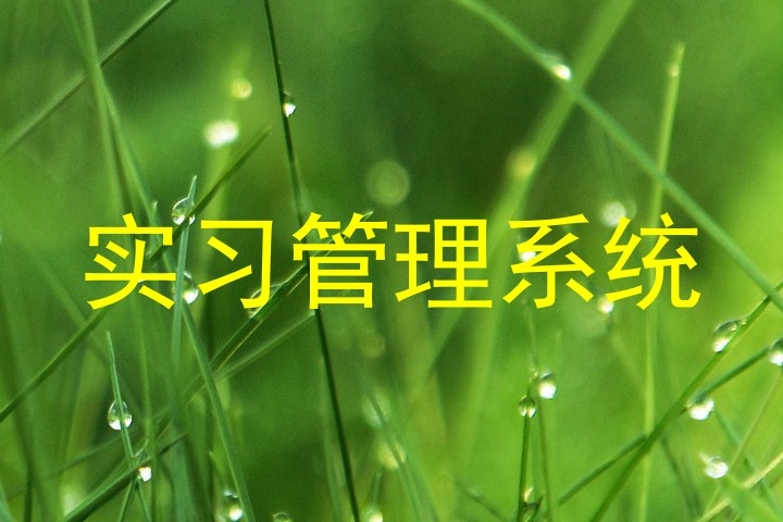 实习管理系统