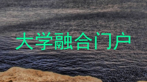 大学融合门户