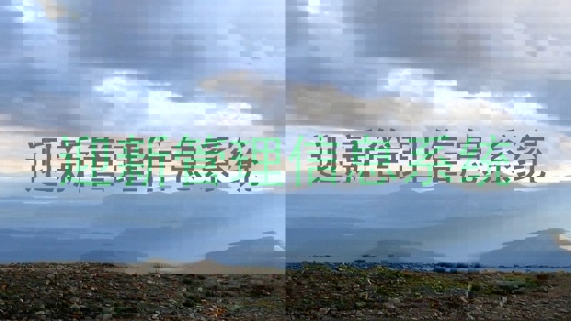 迎新管理信息系统