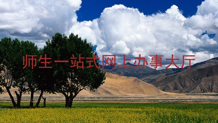 师生一站式网上办事大厅
