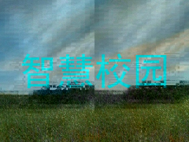 智慧校园