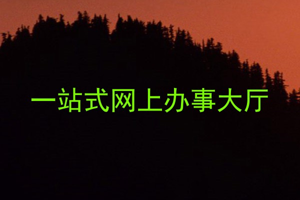 一站式网上办事大厅