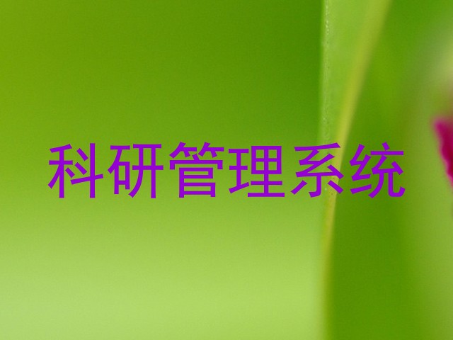 科研管理系统