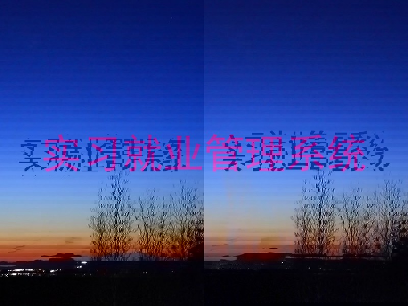 实习就业管理系统