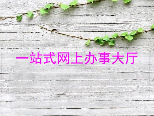 一站式网上办事大厅