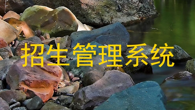 招生管理系统