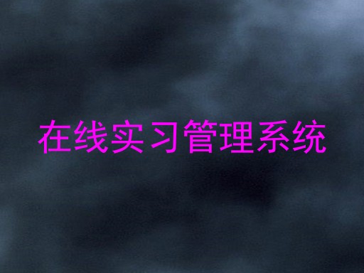 在线实习管理系统