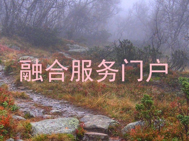 融合服务门户