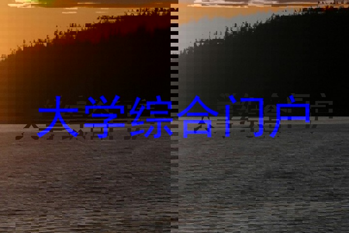 大学综合门户
