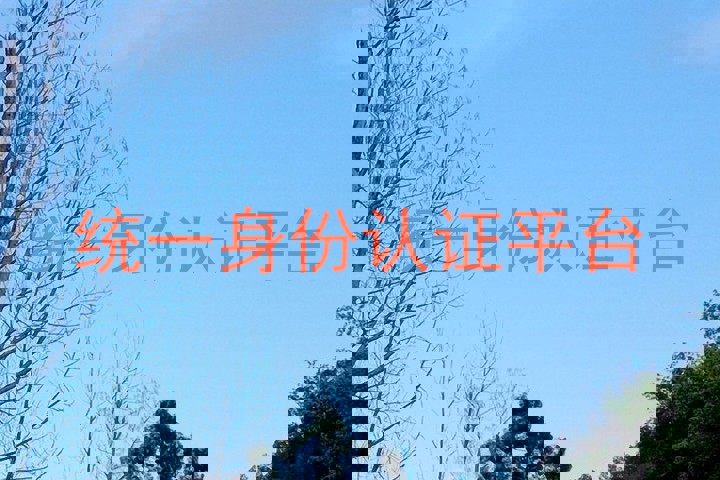 统一身份认证平台