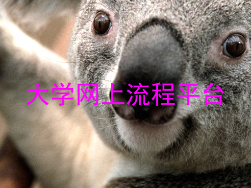 大学网上流程平台