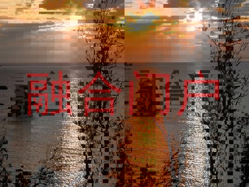 融合门户