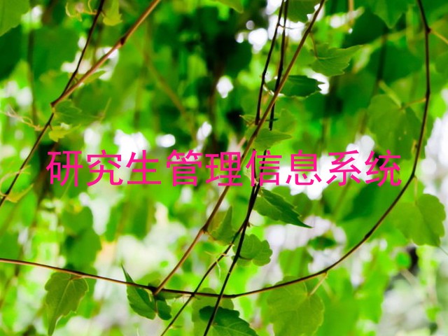 研究生管理信息系统