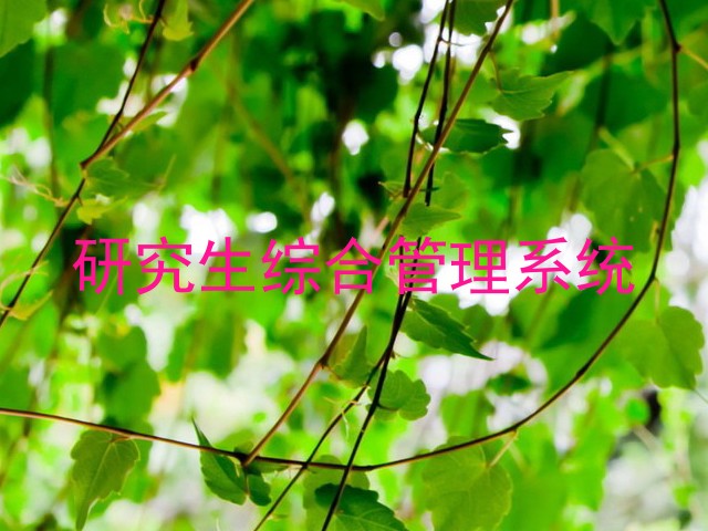 研究生综合管理系统