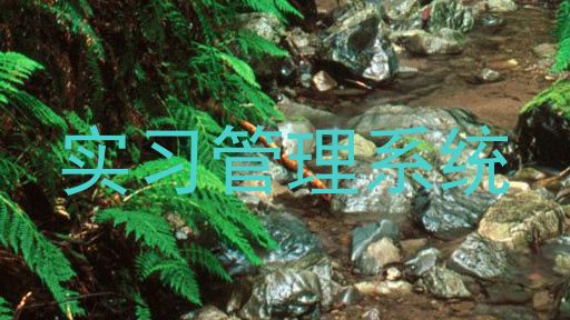 实习管理系统