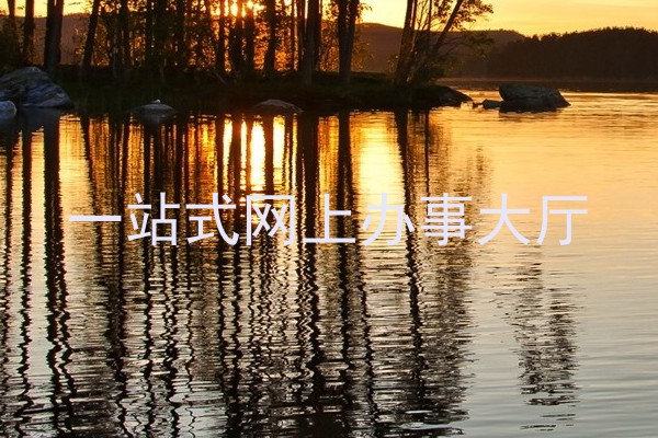 一站式网上办事大厅