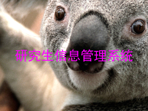 研究生信息管理系统