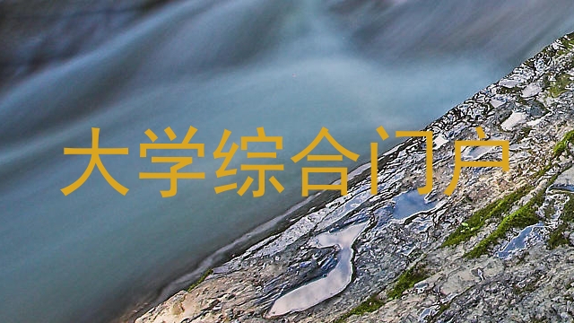 大学综合门户
