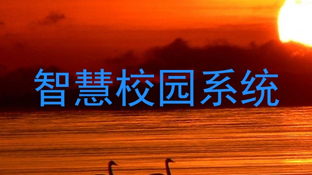 智慧校园系统
