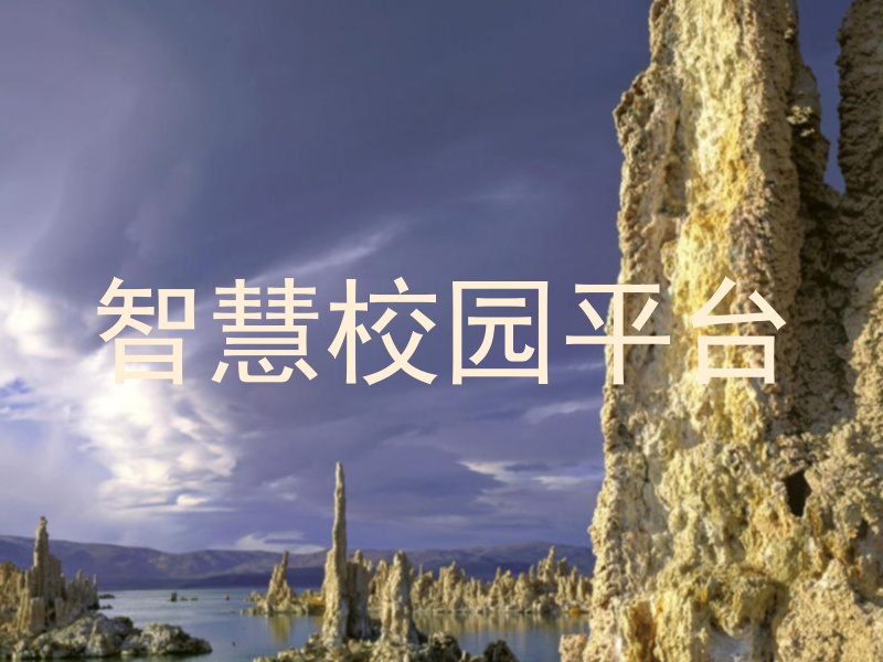 智慧校园平台