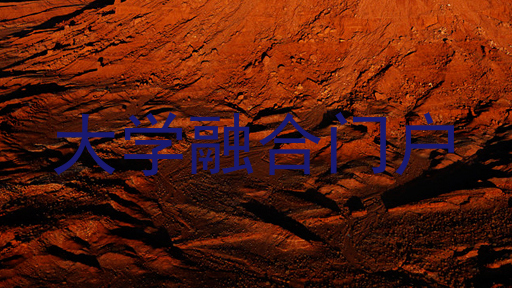 大学融合门户